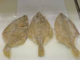 Image result for Limanda limanda