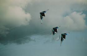 Image result for White Horse Kite Fliers Club