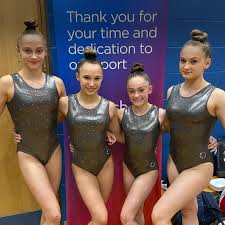 Image result for City Of Newcastle Gymnastics Academy