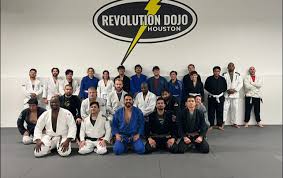 Image result for Revolution Dojo