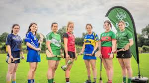 Image result for St Rita`s Camogie Club