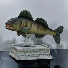 Image result for Sander lucioperca