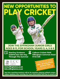 Image result for Effingham Cricket Club