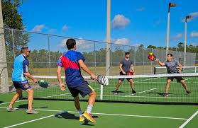 Image result for Team 2000 Badminton Club