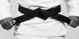 Image result for Welwyn Garden City Judo Club