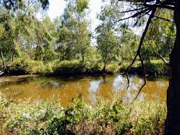 Image result for West Finchley B C