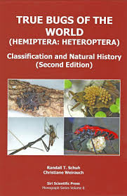 Attēlu rezultāti vaicājumam “Heteroptera”