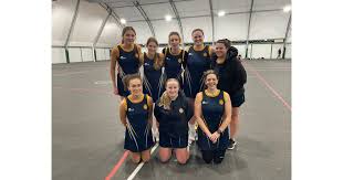 Image result for Raychem Netball Club