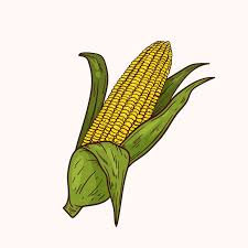 Image result for Mais