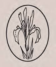 Attēlu rezultāti vaicājumam “Physarum rubiginosum plasmodium”