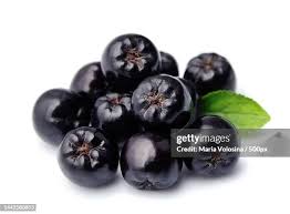 Attēlu rezultāti vaicājumam “Aronia melanocarpa fruit”