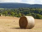 SU9848 : Hay Bale on Guildown - via Daymix