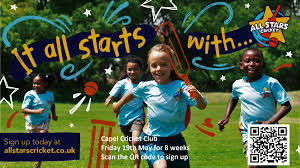 Image result for Capel Cricket Club