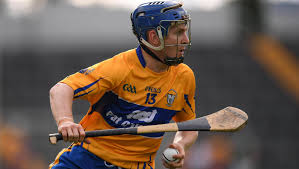 Image result for Clarehurlers