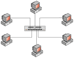 Topologi Mesh