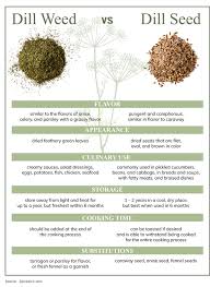 Image result for Dill