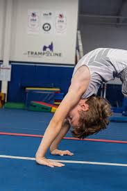 Image result for White Rose Trampoline Academy