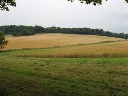 Image result for Gerrards Cross Cc