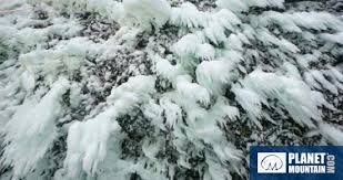 「イルミンガルド・スノーレヴィク」の画像検索結果