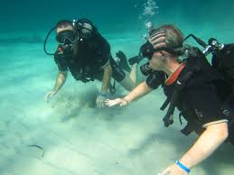 Image result for Exe To Sea Diving