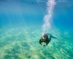 Image result for Duchy Divers