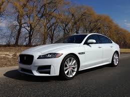 Image result for Glacier 2017 Jaguar