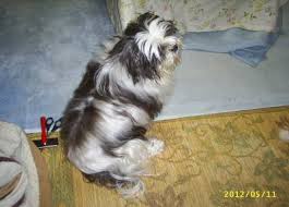 Image result for 201205.html#201205031