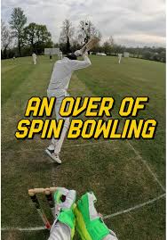 Image result for Hursley Park Cricket Club