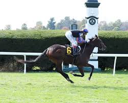 Image result for horse girl gun