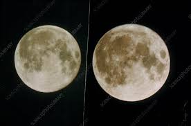 Image result for perigee
