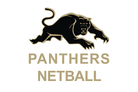 Image result for Medway Panthers Netball Club