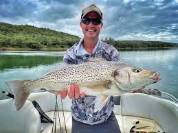 Image result for Pomadasys commersonnii