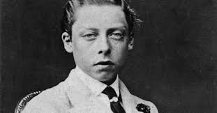 Attēlu rezultāti vaicājumam “Lycogala asperum young”