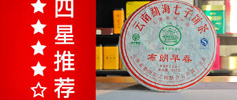 Image result for 2011早春