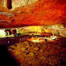 Картинки по запросу Altamira