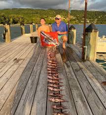 Image result for Islington Divers 333