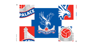 Image result for Palace Eagles Octopush Club