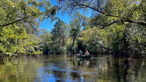 Image result for Blackwater Valley Canoe Club