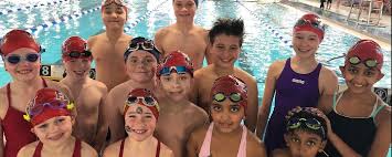 Image result for Frome Swimming Club