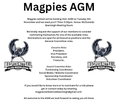 Image result for Ledbury Magpies Netball Club