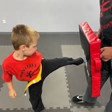 Image result for TIVERTON SHOTOKAN KARATE CLUB