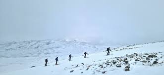 Image result for Tyneside Loipers