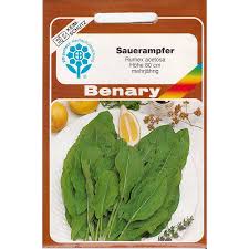 Attēlu rezultāti vaicājumam “Rumex acetosa fruit”