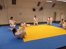 Image result for Melbourne Judo Club