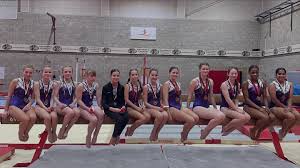 Image result for Arabian School Of Gymnastics