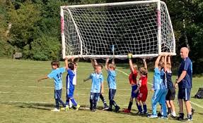 Image result for Shalford F C