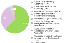 Attēlu rezultāti vaicājumam “Pemphigus borealis”