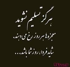 images?q=tbn:ANd9GcQzCUBuapXTkthgE0HeS1CFUTwTNO7sslUQk7uAyDcUyQ0WESIxNw