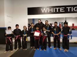 Image result for White Tiger Martial Arts