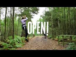 Image result for The Go Ape Experience (Delamere Forest)